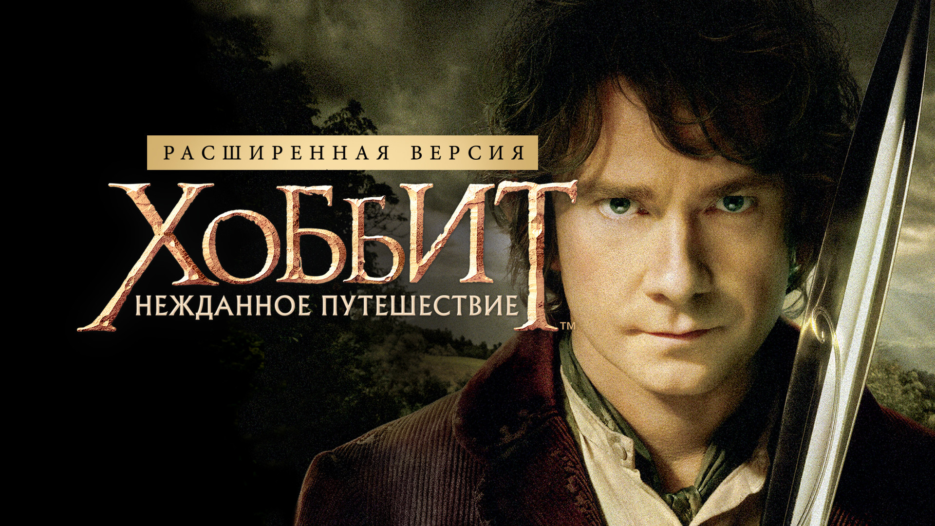 Хоббит: Нежданное путешествие | The Hobbit: An Unexpected Journey (2012)